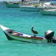 08- Pelican sur un penero 